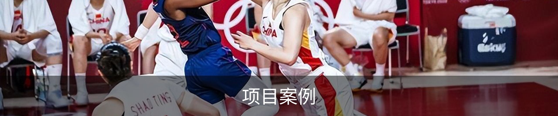 项目案例